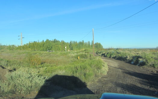 CATRIEL     PROXIMO YPF – RUTA 151  – RIO NEGRO