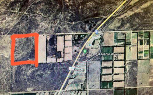 CATRIEL     PROXIMO YPF – RUTA 151  – RIO NEGRO