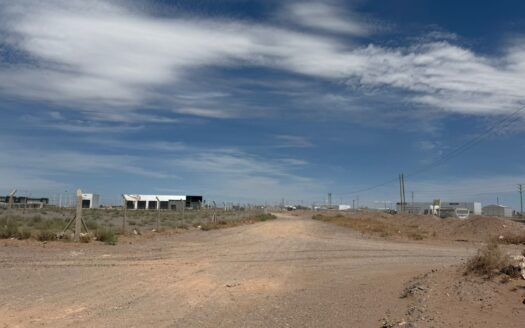 “AÑELO” MANZANA EN VENTA – VACA MUERTA.