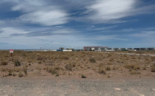 “AÑELO” MANZANA EN VENTA – VACA MUERTA.