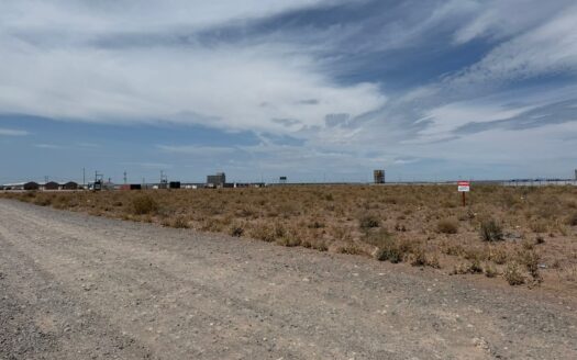 “AÑELO” MANZANA EN VENTA – VACA MUERTA.