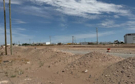 “AÑELO” MANZANA EN VENTA – VACA MUERTA.